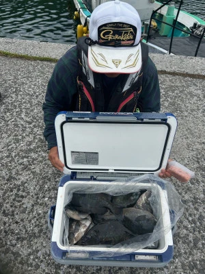 てる丸の2025年5月27日(火)3枚目の写真