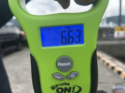 川端渡船の2025年5月28日(水)3枚目の写真