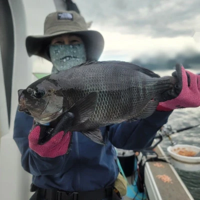 海晴丸の2025年5月22日(木)5枚目の写真