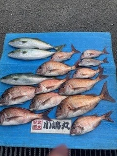 小嶋丸の2025年5月31日(土)1枚目の写真