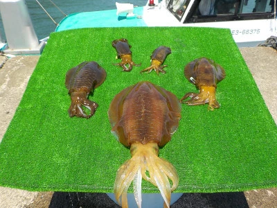 釣り船 久勝丸の2025年5月28日(水)2枚目の写真