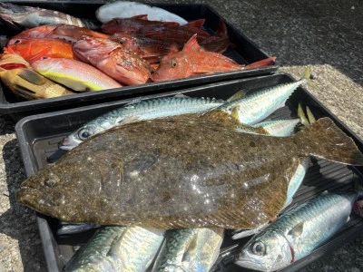 遊漁船 サザンブルーの2025年6月1日(日)5枚目の写真