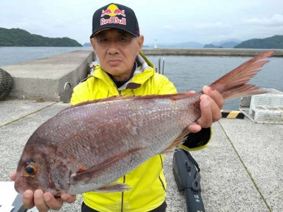 海斗の2025年5月29日(木)2枚目の写真