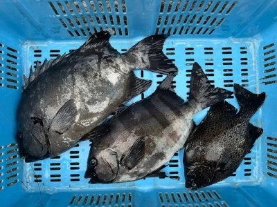 弁天丸の2025年5月28日(水)3枚目の写真