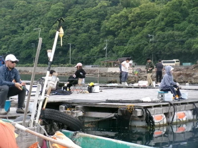 由良海つり公園&釣堀ランドの2025年6月7日(土)4枚目の写真
