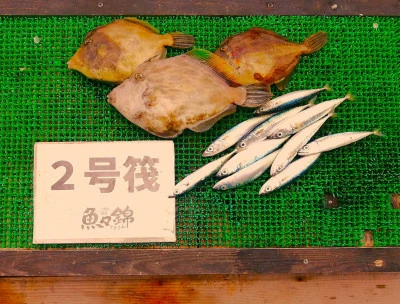 三重外湾漁協 錦事業所直営 釣り筏の2025年6月6日(金)2枚目の写真