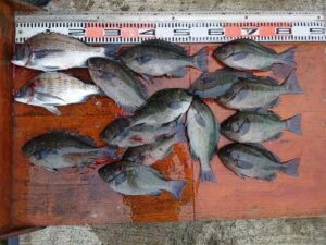 民宿とねの2025年6月11日(水)1枚目の写真
