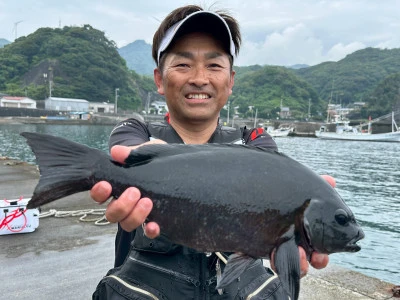 渡船民宿倉の下の2025年6月8日(日)1枚目の写真