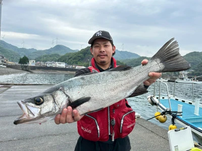 渡船民宿倉の下の2025年6月8日(日)2枚目の写真