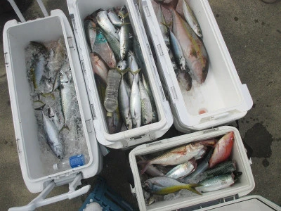 隆星丸の2025年6月7日(土)2枚目の写真