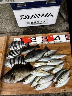 金丸渡船の2025年6月13日(金)1枚目の写真