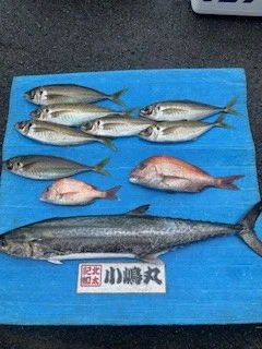 小嶋丸の2025年6月14日(土)1枚目の写真