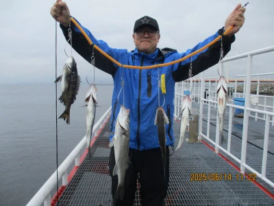 尼崎市立魚つり公園の2025年6月14日(土)1枚目の写真