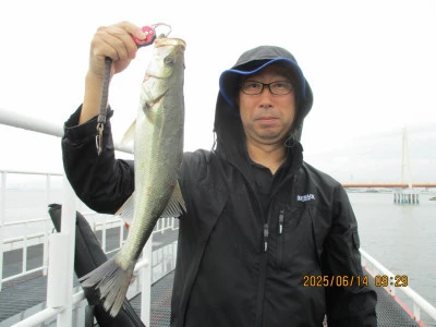尼崎市立魚つり公園の2025年6月14日(土)2枚目の写真
