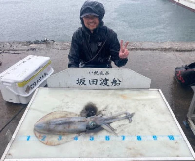坂田渡船の2025年6月9日(月)1枚目の写真