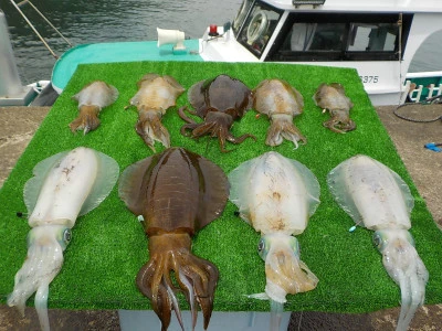 釣り船 久勝丸の2025年6月13日(金)5枚目の写真