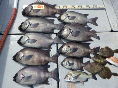 磯部釣船　直栄丸の2025年6月16日(月)4枚目の写真