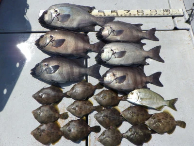 磯部釣船　直栄丸の2025年6月18日(水)1枚目の写真