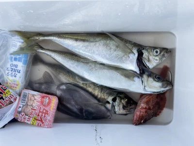 真珠・山本釣り筏の2025年6月6日(金)1枚目の写真