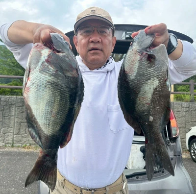 瀬渡し 磯の2025年6月8日(日)4枚目の写真