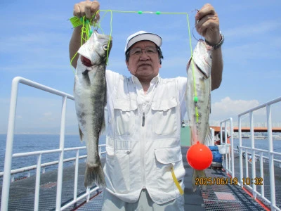 尼崎市立魚つり公園の2025年6月19日(木)1枚目の写真