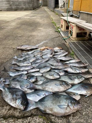丸銀釣りセンターの2025年6月6日(金)1枚目の写真