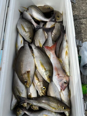 釣り船 黒潮丸の2025年6月21日(土)2枚目の写真