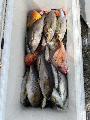 釣り船 黒潮丸の2025年6月21日(土)3枚目の写真