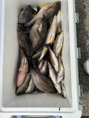 釣り船 黒潮丸の2025年6月21日(土)4枚目の写真