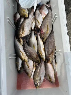 釣り船 黒潮丸の2025年6月21日(土)5枚目の写真