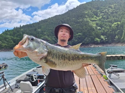 Y企画の2025年6月17日(火)1枚目の写真