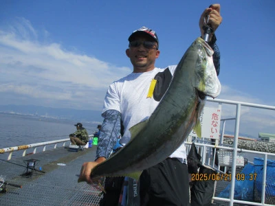 尼崎市立魚つり公園の2025年6月21日(土)2枚目の写真