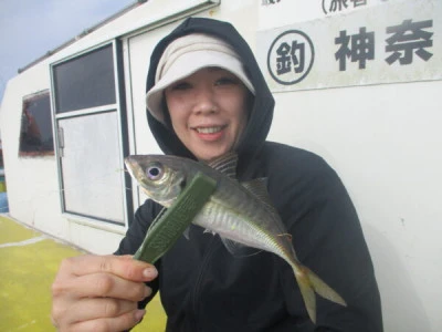 打木屋釣船店の2025年6月20日(金)1枚目の写真