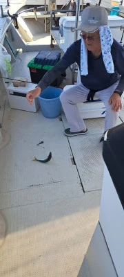 釣り船くわだの2025年6月20日(金)4枚目の写真