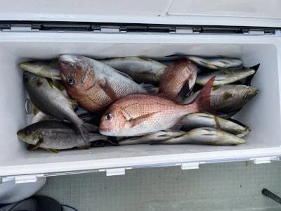 Fishing MOLA MOLAの2025年6月21日(土)3枚目の写真