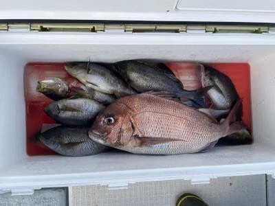 Fishing MOLA MOLAの2025年6月21日(土)4枚目の写真