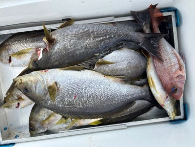 釣り船 黒潮丸の2025年6月22日(日)2枚目の写真