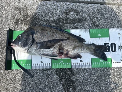 釣り筏 宇和海の2025年6月21日(土)1枚目の写真