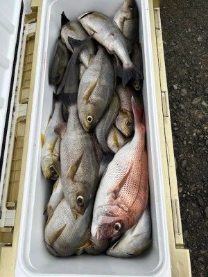 釣り船 黒潮丸の2025年6月23日(月)1枚目の写真