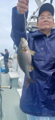 Fishing MOLA MOLAの2025年6月23日(月)3枚目の写真