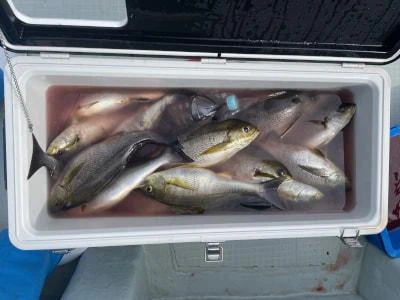 Fishing MOLA MOLAの2025年6月23日(月)5枚目の写真