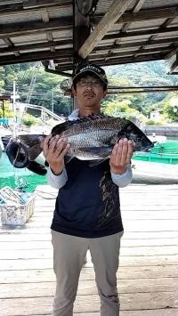 ヒダカ水産の2025年6月19日(木)1枚目の写真