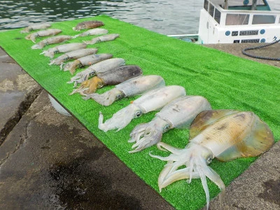 釣り船 久勝丸の2025年6月15日(日)4枚目の写真