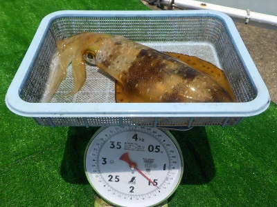 釣り船 久勝丸の2025年6月16日(月)5枚目の写真