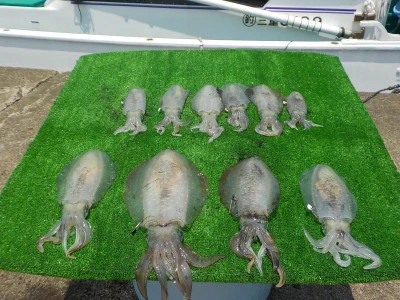 釣り船 久勝丸の2025年6月22日(日)2枚目の写真
