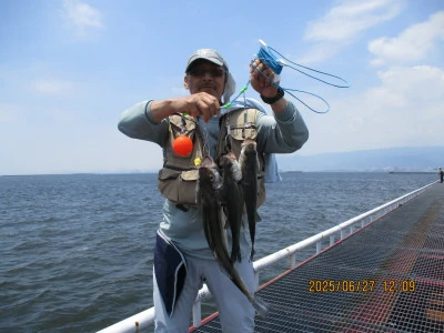 尼崎市立魚つり公園の2025年6月27日(金)1枚目の写真