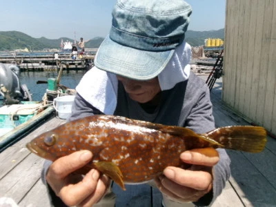 由良海つり公園&釣堀ランドの2025年6月28日(土)4枚目の写真