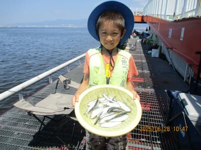 尼崎市立魚つり公園の2025年6月28日(土)2枚目の写真