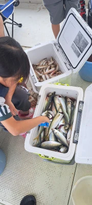 釣り船くわだの2025年6月22日(日)5枚目の写真