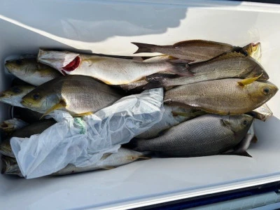 釣り船 黒潮丸の2025年6月30日(月)2枚目の写真